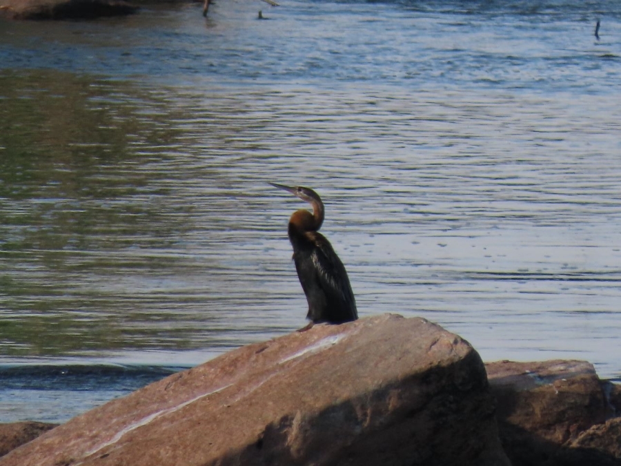 0 Bedroom Property for Sale in Potchefstroom Rural North West